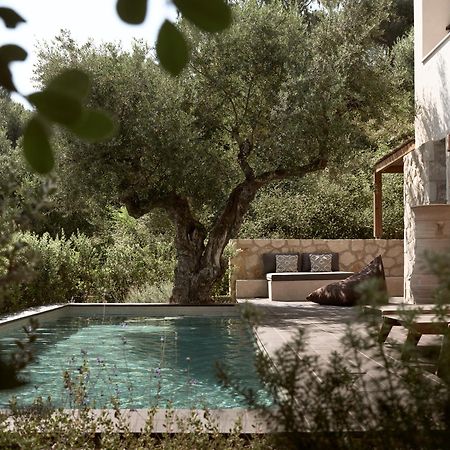 טסיליבי Zayn Luxury Villas, A Serene Escape, By Thinkvilla מראה חיצוני תמונה